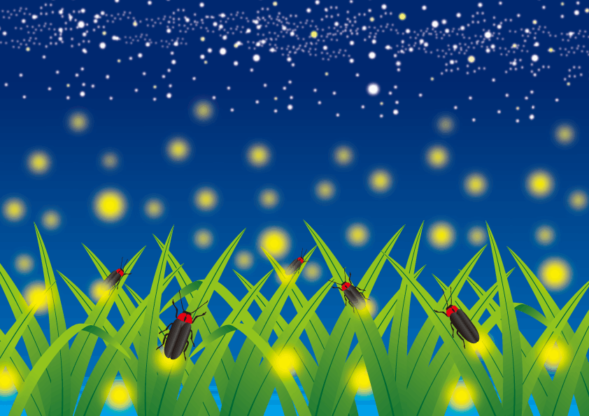 ほたるイラスト