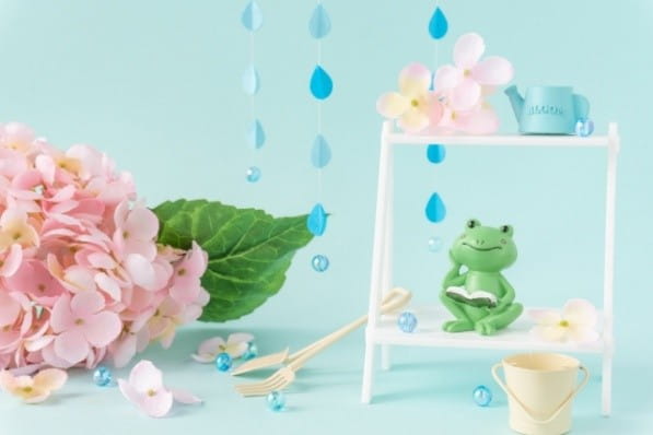 梅雨のカエル