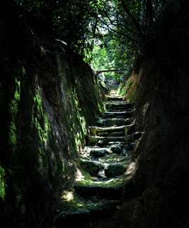 登山